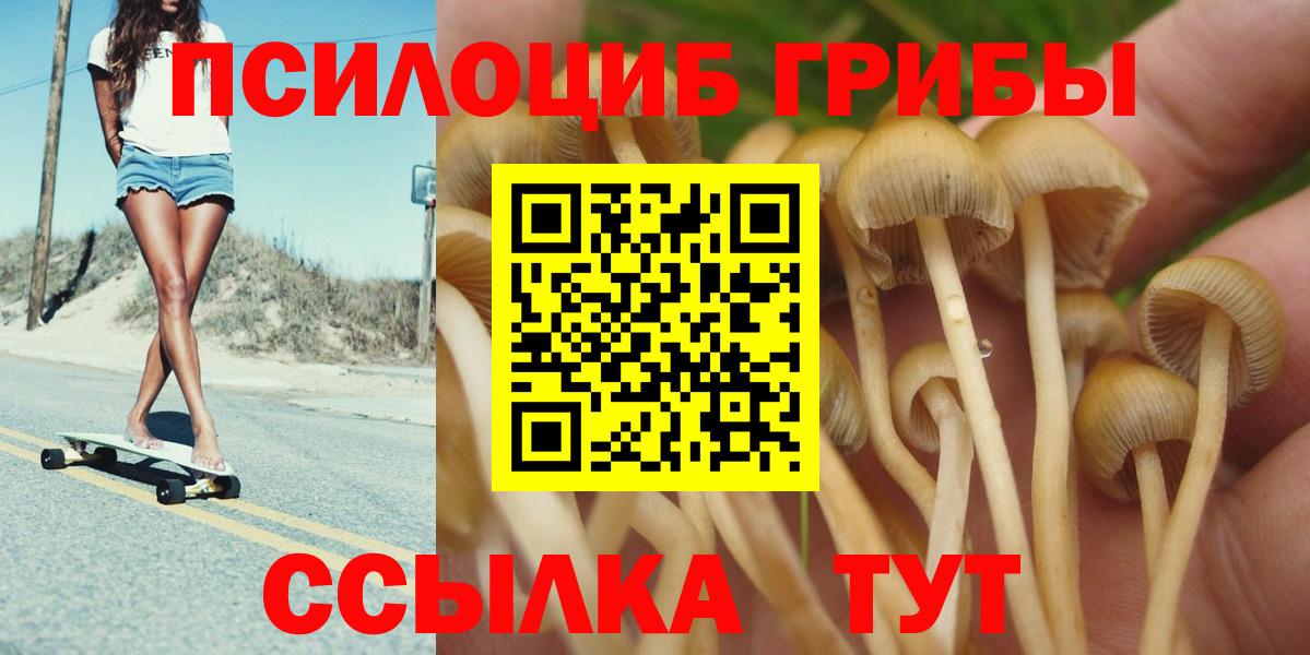 Псилоцибиновые грибы GOLDEN TEACHER Городец